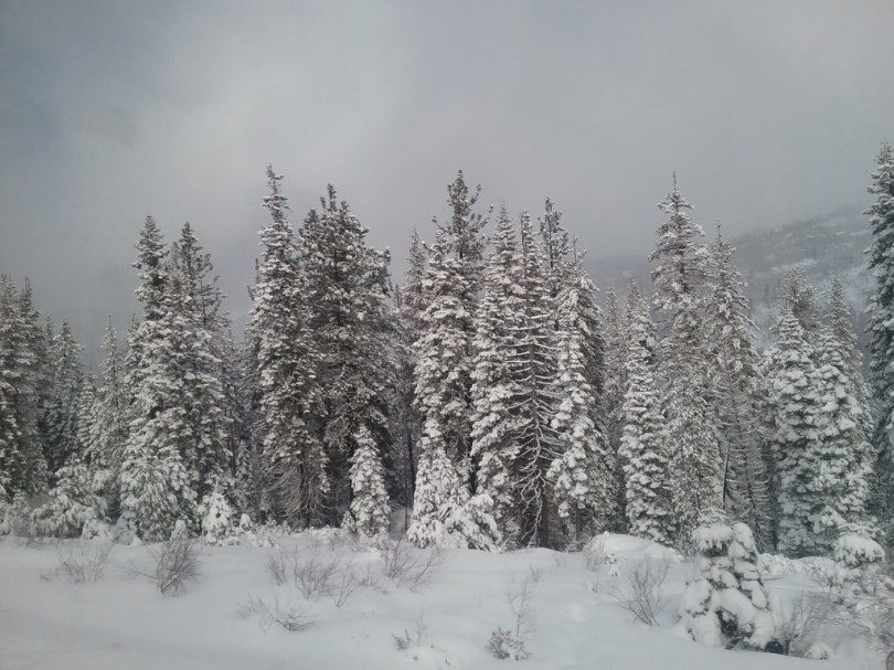 20151211_103641wp
